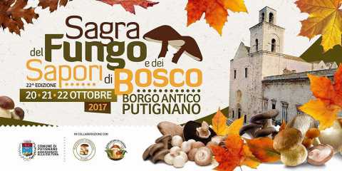 Putignano, sagra del fungo e dei sapori di bosco: tre giorni di degustazioni e concerti